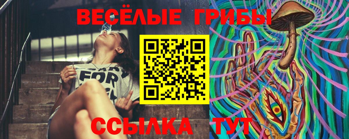 Галлюциногенные грибы Psilocybine cubensis  Галлюциногенные грибы Psilocybine cubensis  Чайковский  Вход с VPN 