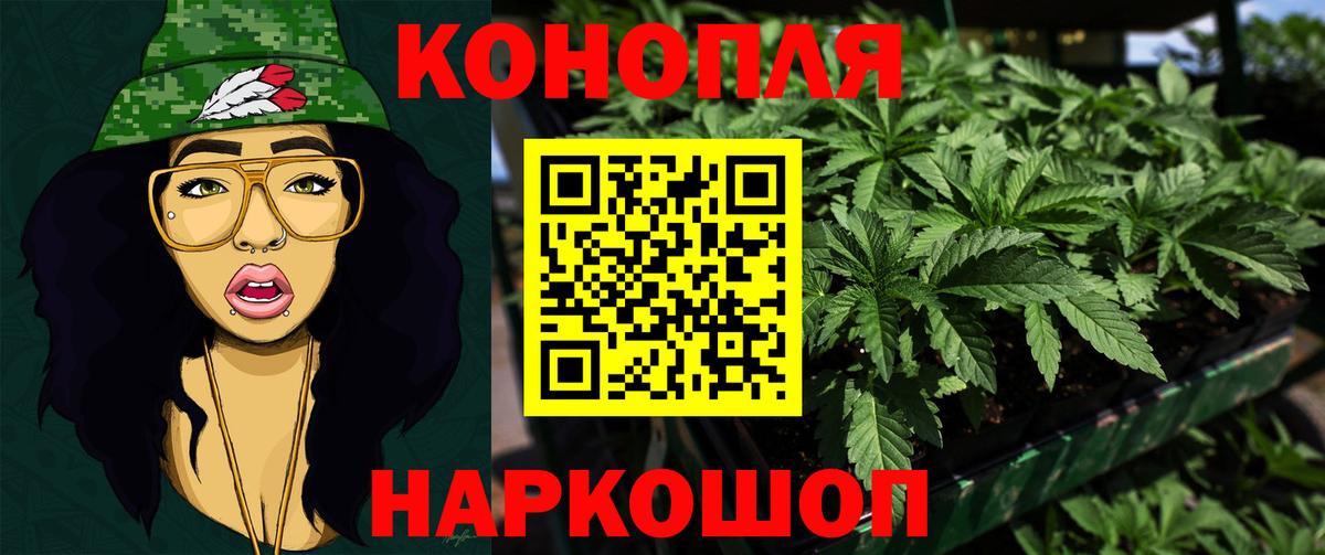 Чайковский  Конопля AK-47  Бошки Шишки ГИДРОПОН  Канабис Amnesia  Вход с VPN  Марихуана гибрид 